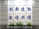 Enterprise Culture